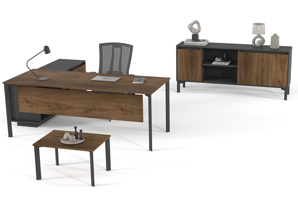 Vega Ara Yönetici Takımı