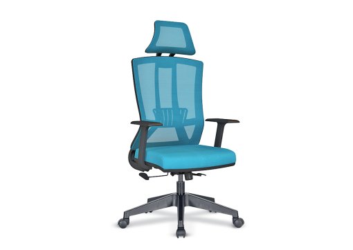 Eden Yönetici Koltuğu