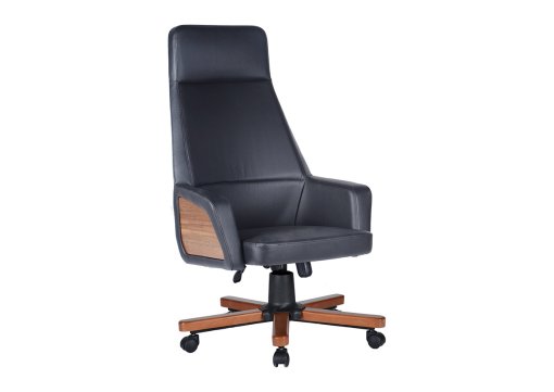 Land Yönetici Koltuğu