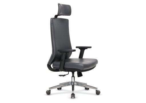 Petra Yönetici Koltuğu