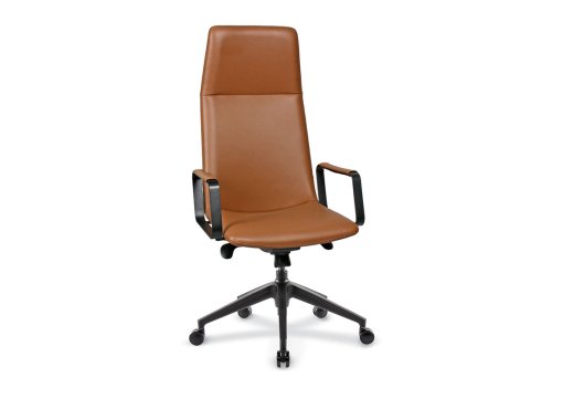 Silva Yönetici Koltuğu