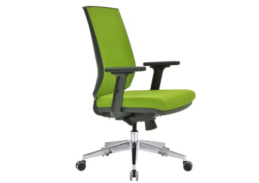 Regal Çalışma Koltuğu