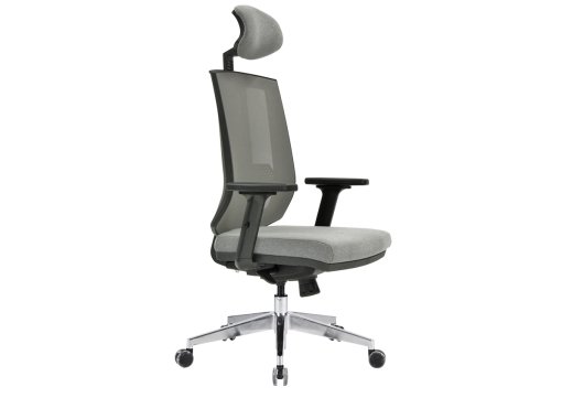 Regal Yönetici Koltuğu