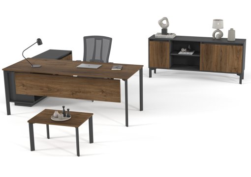 Vega Ara Yönetici Takımı