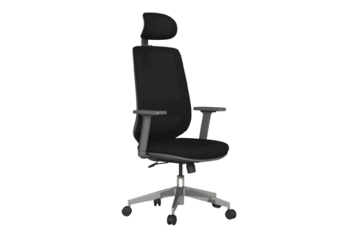 Yönetici Koltukları