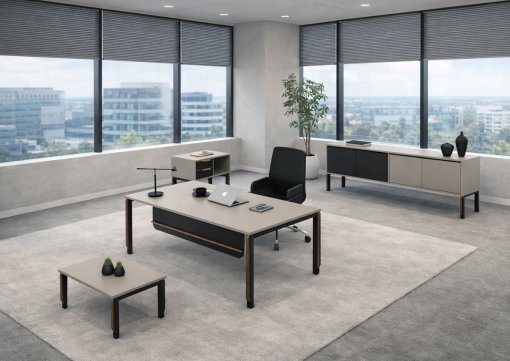 Zoom Ara Yönetici Takımı